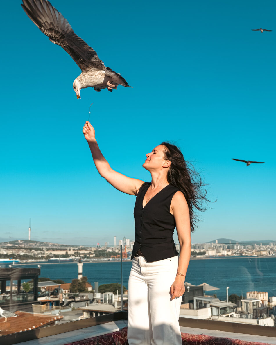 Discover our rooftop atmosphere, Hagia Sophia and sea views, together with our food presentations and memorable dining moments in Sultanahmet.